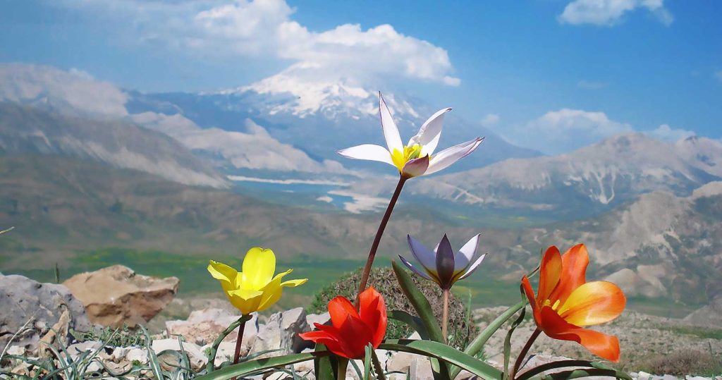 All to know about Mount Damavand 10-reasons-to-visit-Iran