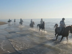 Iran horseback riding tour 4 days persian gulf