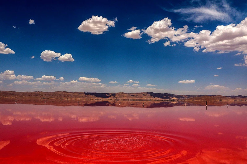 pink lake maharloo lake