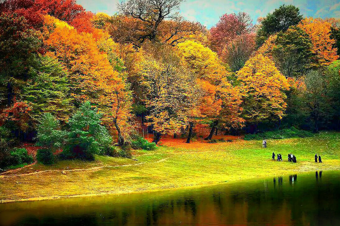 Alangdareh Forest