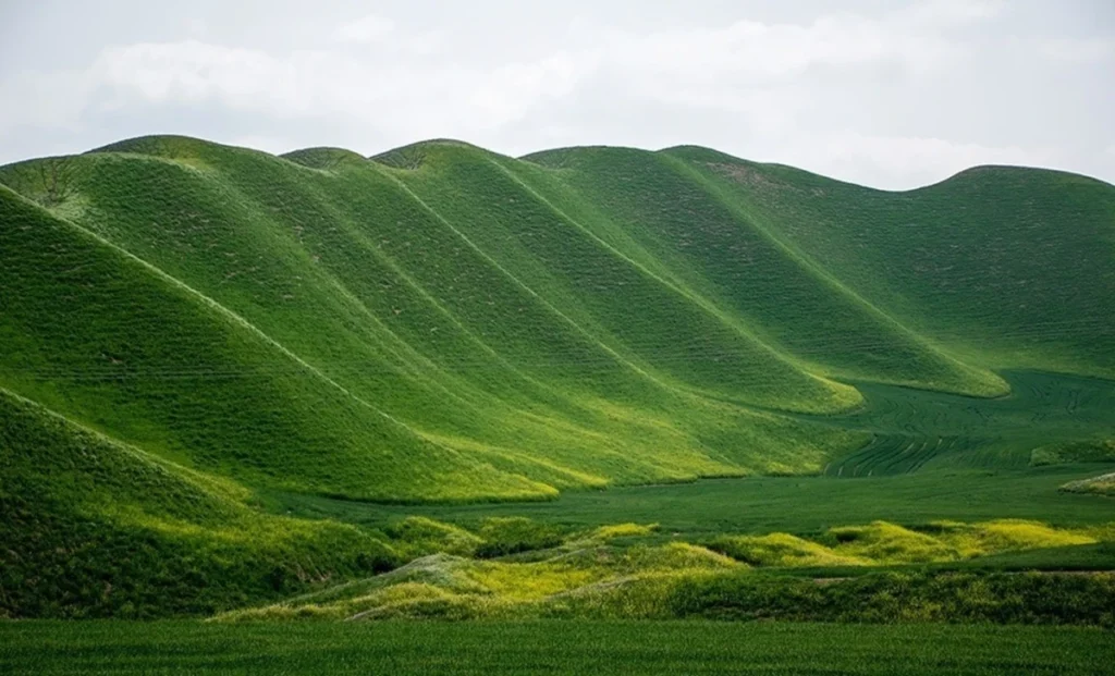 Turkmen Sahra
