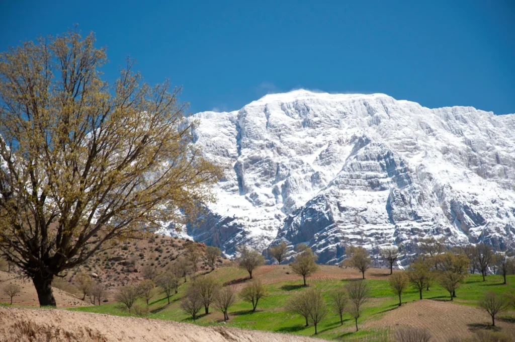 Dena Mountains