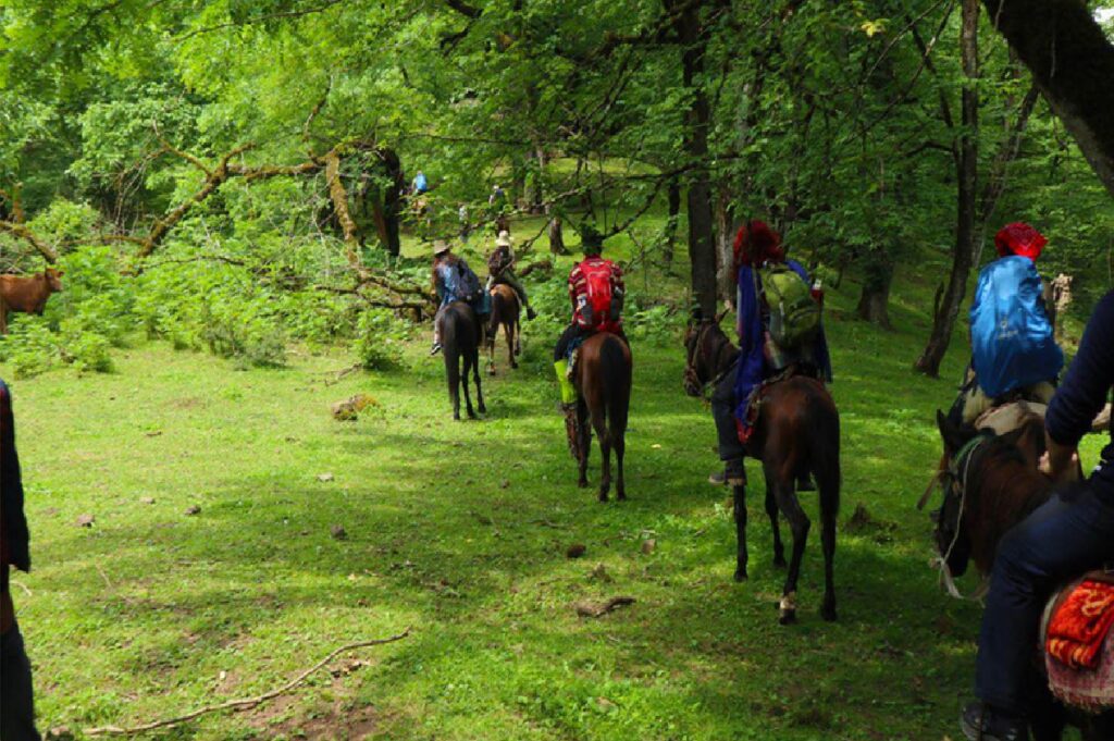 Tips on Horse Riding Iran